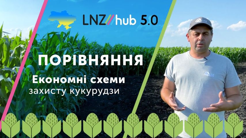 Економні схеми захисту кукурудзи. Порівняння | LNZ Hub 5.0