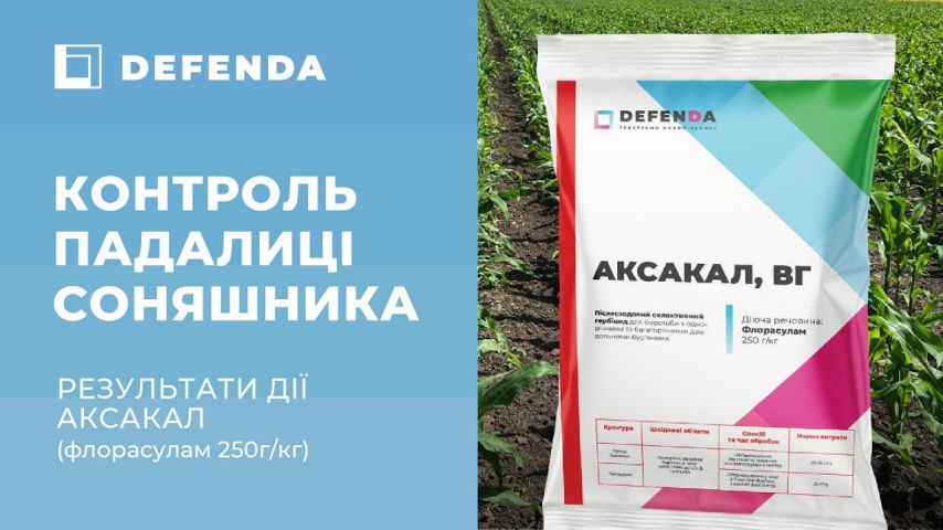 Дія ґрунтового гербіциду Аксакал бренду Дефенда проти падалиці соняшнику на кукурудзі