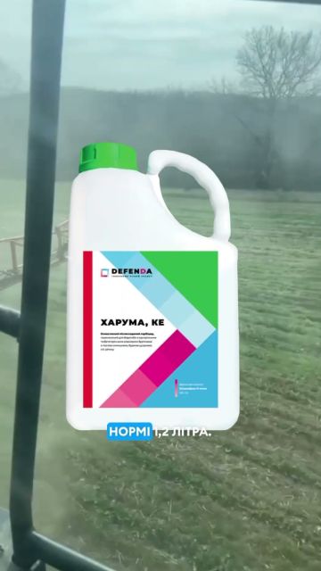 2 Тижні після внесення препарату Харума проти злакових бурʼянів на ріпакові. Дивимося результати!
