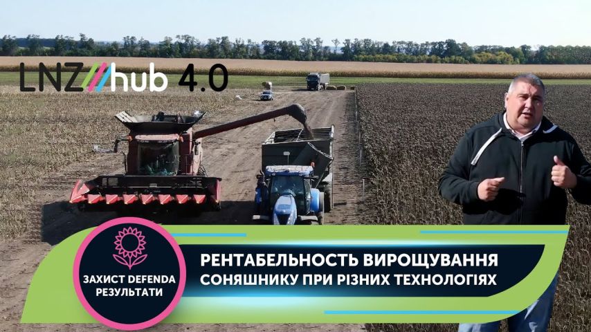 Рентабельность вирощування соняшнику при різних технологіях | LNZ Hub 4.0