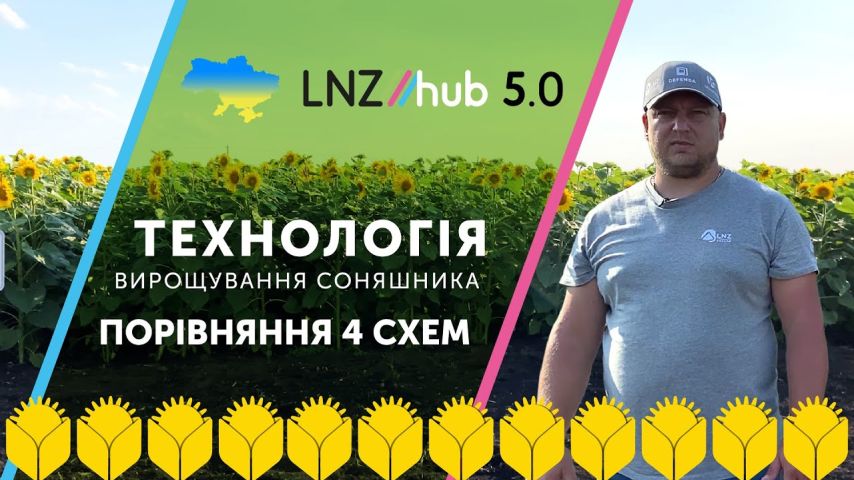Технологія вирощування соняшника. Порівняння 4 схем захисту | LNZ Hub 5.0