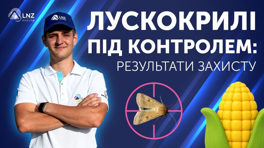 Лускокрилі шкідники на кукурудзі: результати внесення Агродроном на LNZ Hub