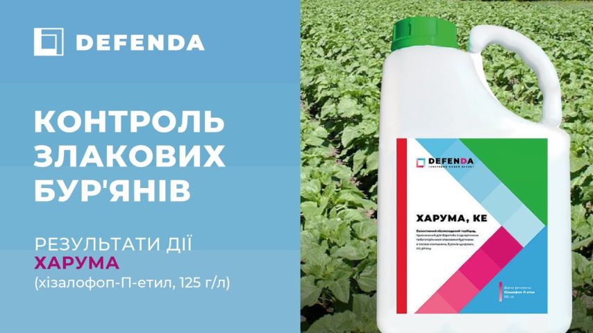 Дія післясходового гербіциду Харума бренду DEFENDA проти падалиці зернових на соняшнику
