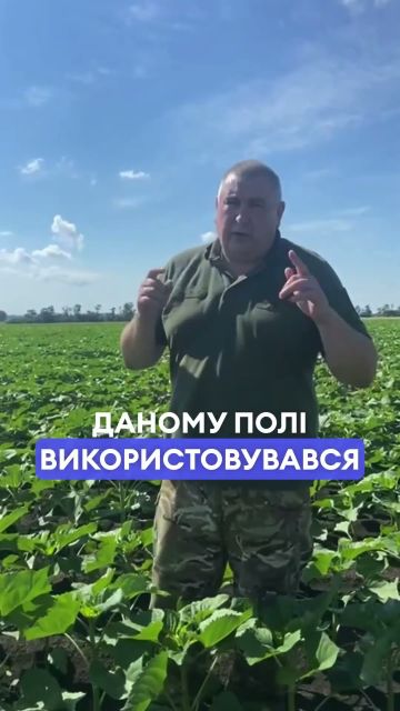 Результати роботи препаратів бренду DEFENDA на соняшнику