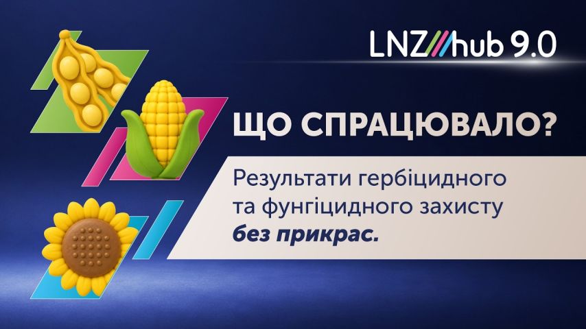 Які схеми захисту дали результат? Огляд полів LNZ Hub 9.0