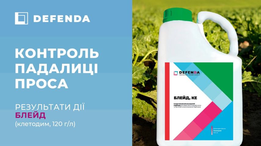 Дія післясходового гербіциду Блейд бренду DEFENDA проти падалиці проса на цукровому буряку