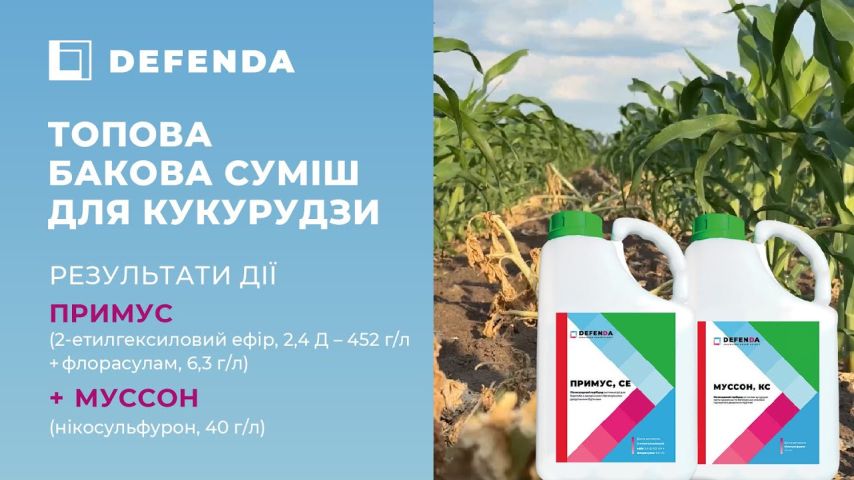 🌽 Топова гербіцидна бакова суміш для кукурудзи у дії!