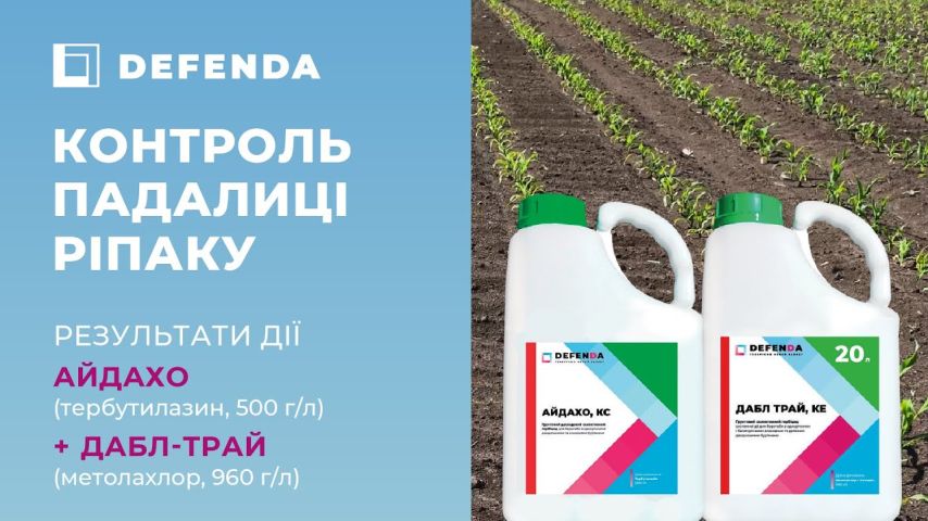 Реальні результати дії Айдахо + Дабл-Трай на кукурудзі