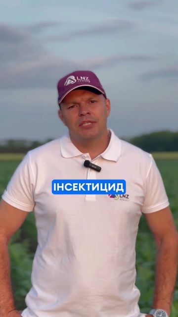 Лускокрилі шкідники на 🌽 не проблема, якщо вчасно подбати про захист. Деталі у відео!