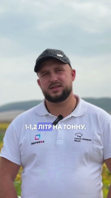 Які протруйники обрати для озимої пшениці? Радить Юрій Якубчук ✅